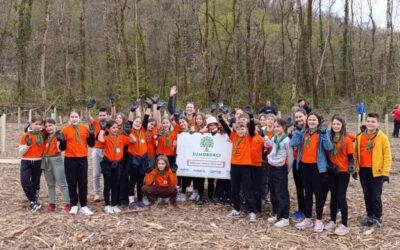 Veliki uspjeh školskih izviđača: posađeno 1000 novih hrastova u Motovunskoj šumi